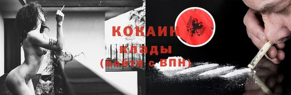 твердый Надым