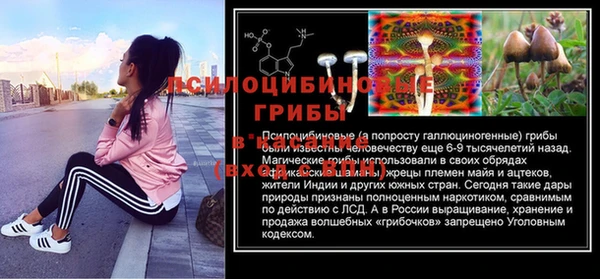 твердый Надым