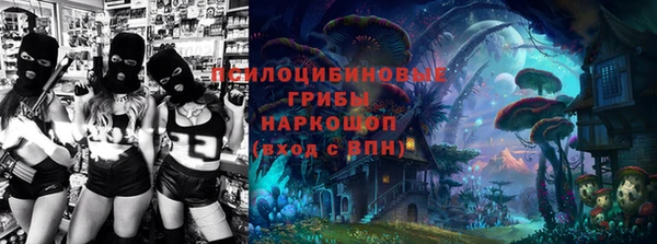 твердый Надым