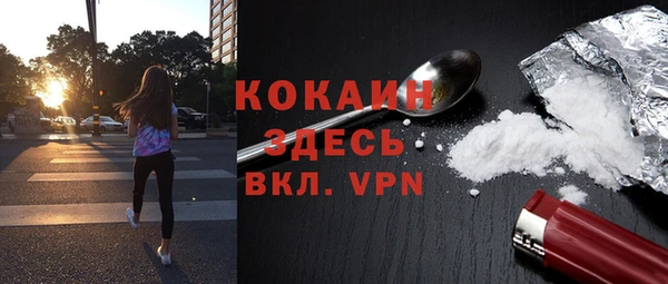 твердый Надым