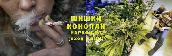 твердый Надым