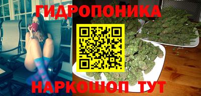амф Берёзовский