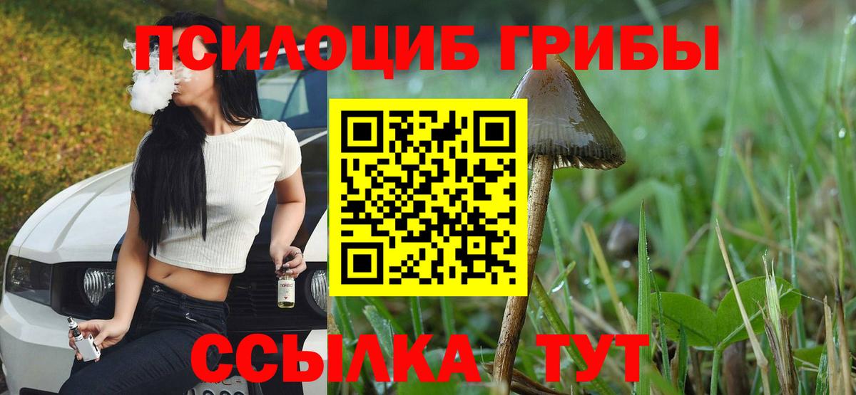 Псилоцибиновые грибы ЛСД Лабинск